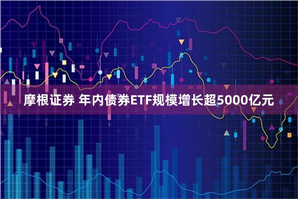 摩根证券 年内债券ETF规模增长超5000亿元