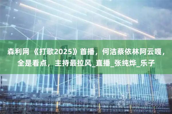 森利网 《打歌2025》首播，何洁蔡依林阿云嘎，全是看点，主持最拉风_直播_张纯烨_乐子