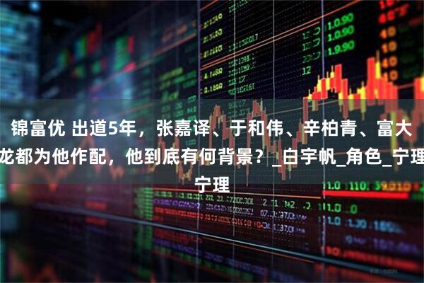 锦富优 出道5年，张嘉译、于和伟、辛柏青、富大龙都为他作配，他到底有何背景？_白宇帆_角色_宁理